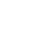 pn81